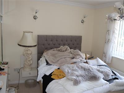 Picture 11